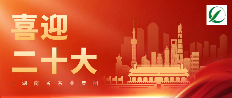 湖南省全网最大下注平台集团组织收看中国共产党第二十次全国代表大会开幕会